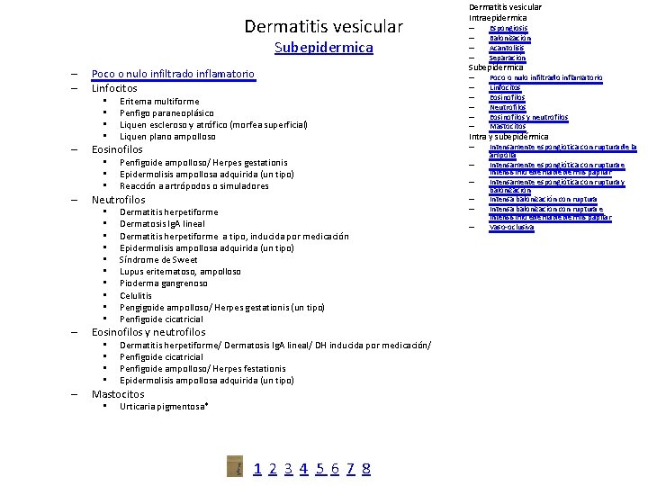 Dermatitis vesicular Subepidermica – – Poco o nulo infiltrado inflamatorio Linfocitos • • –