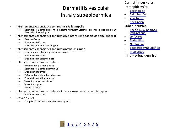 Dermatitis vesicular Intra y subepidérmica • Intensamente espongiótica con ruptura e intensisimo edema de