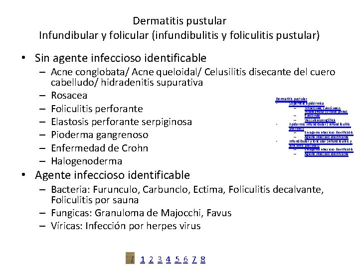 Dermatitis pustular Infundibular y folicular (infundibulitis y foliculitis pustular) • Sin agente infeccioso identificable