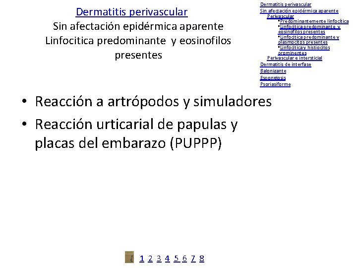 Dermatitis perivascular Sin afectación epidérmica aparente Linfocitica predominante y eosinofilos presentes Dermatitis perivascular Sin