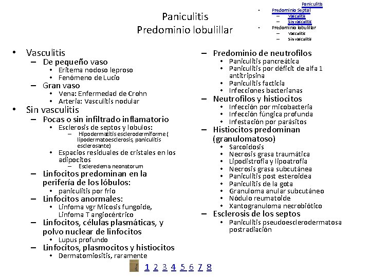 Paniculitis Predominio lobulillar • Vasculitis – – • Vasculitis Sin vasculitis Predominio lobulillar –