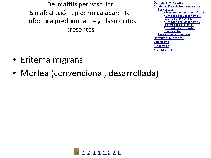 Dermatitis perivascular Sin afectación epidérmica aparente Linfocitica predominante y plasmocitos presentes Dermatitis perivascular Sin