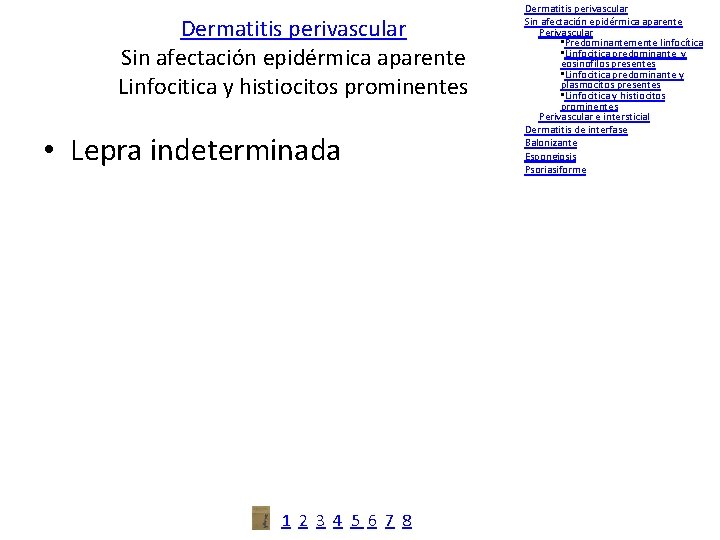 Dermatitis perivascular Sin afectación epidérmica aparente Linfocitica y histiocitos prominentes • Lepra indeterminada 1