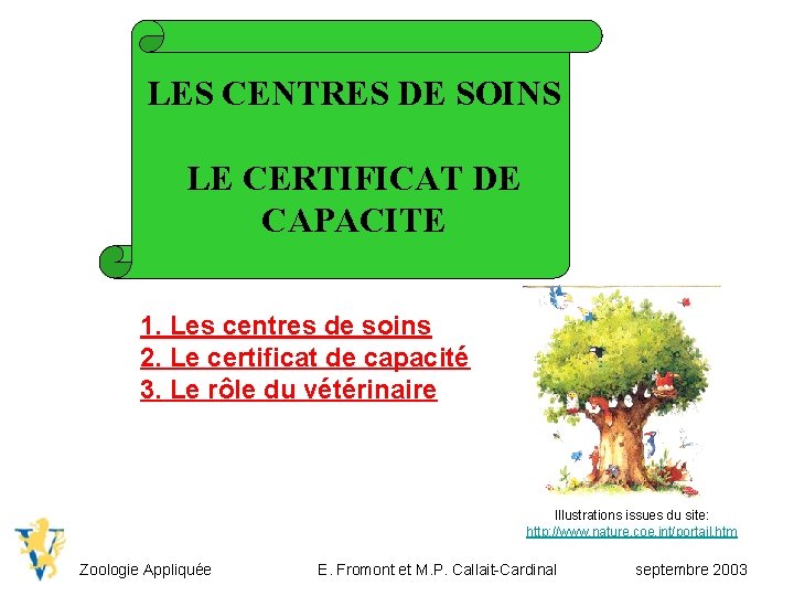 LES CENTRES DE SOINS LE CERTIFICAT DE CAPACITE 1. Les centres de soins 2.