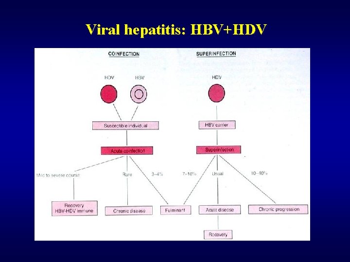 Viral hepatitis: HBV+HDV 