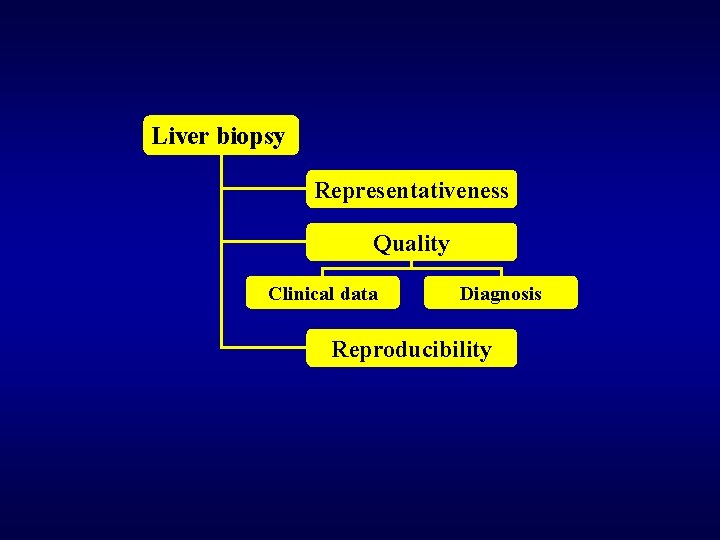 Liver biopsy Representativeness Quality Clinical data Diagnosis Reproducibility 