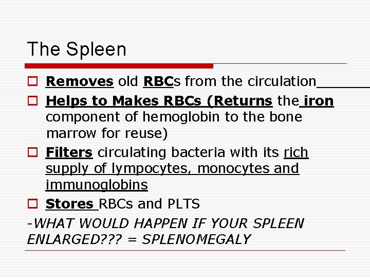 The Spleen Removes old RBCs from the circulation Helps to Makes RBCs (Returns the The Spleen Removes old RBCs from the circulation Helps to Makes RBCs (Returns the