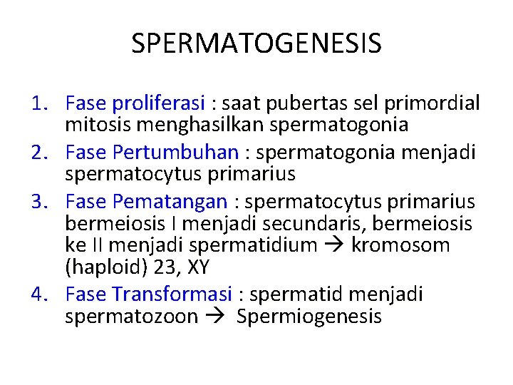 SPERMATOGENESIS 1. Fase proliferasi : saat pubertas sel primordial mitosis menghasilkan spermatogonia 2. Fase