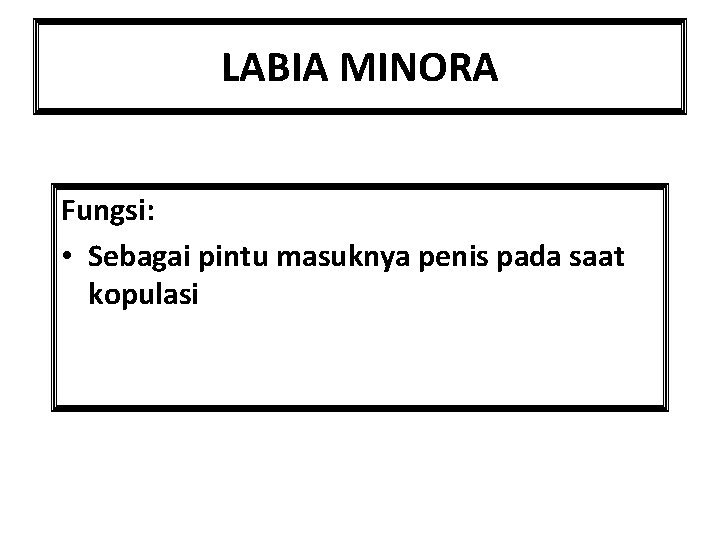 LABIA MINORA Fungsi: • Sebagai pintu masuknya penis pada saat kopulasi 