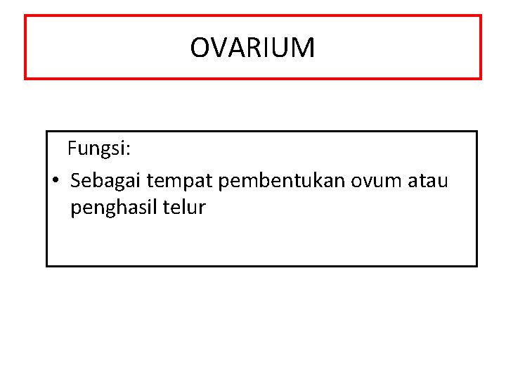 OVARIUM Fungsi: • Sebagai tempat pembentukan ovum atau penghasil telur 