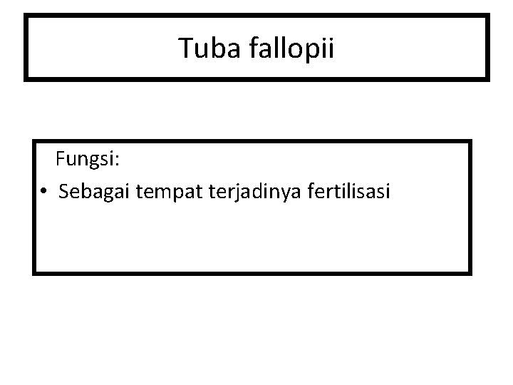 Tuba fallopii Fungsi: • Sebagai tempat terjadinya fertilisasi 