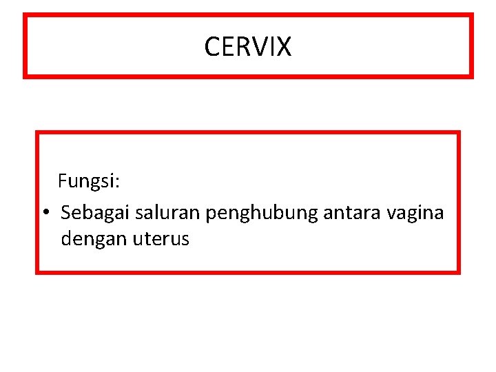 CERVIX Fungsi: • Sebagai saluran penghubung antara vagina dengan uterus 