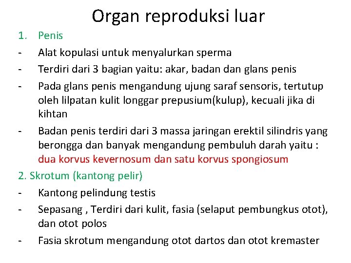 Organ reproduksi luar 1. - Penis Alat kopulasi untuk menyalurkan sperma Terdiri dari 3