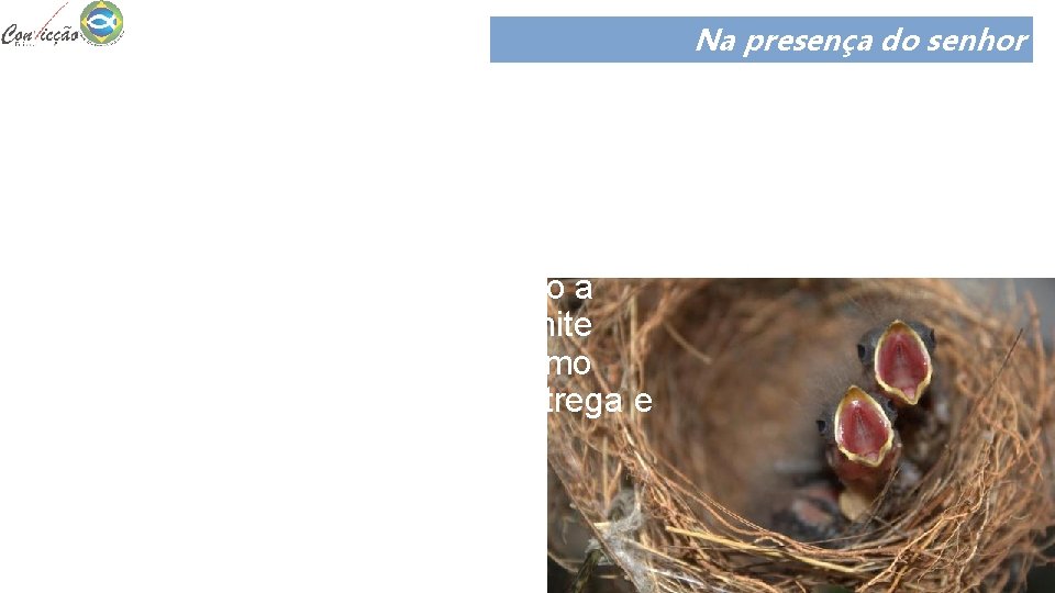 Na presença do senhor A analogia entre os pássaros, seus ninhos e os altares Na presença do senhor A analogia entre os pássaros, seus ninhos e os altares
