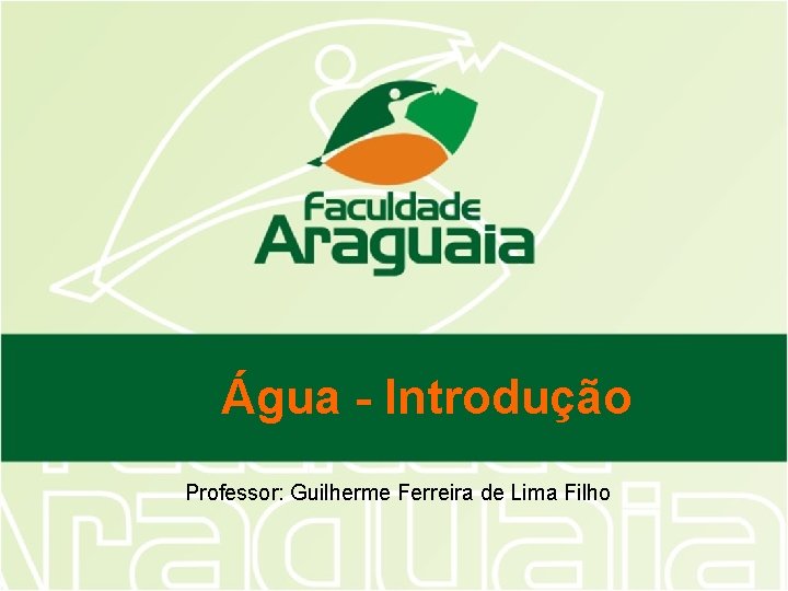 Água - Introdução Professor: Guilherme Ferreira de Lima Filho 