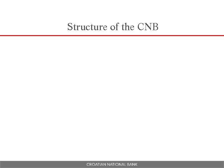 Structure of the CNB 