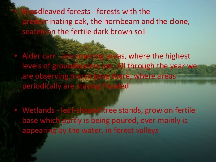  • Broadleaved forests - forests with the predominating oak, the hornbeam and the