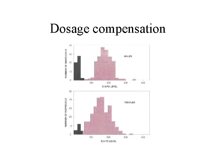 Dosage compensation 