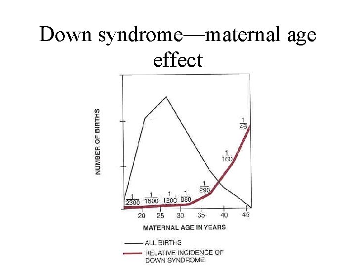 Down syndrome—maternal age effect 