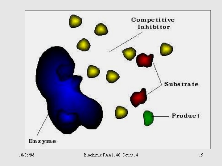 10/06/98 Biochimie PAA 1140 Cours 14 15 