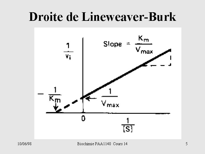 Droite de Lineweaver-Burk 10/06/98 Biochimie PAA 1140 Cours 14 5 