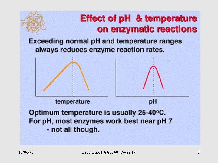 10/06/98 Biochimie PAA 1140 Cours 14 6 