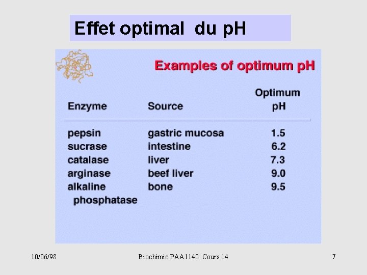 Effet optimal du p. H 10/06/98 Biochimie PAA 1140 Cours 14 7 