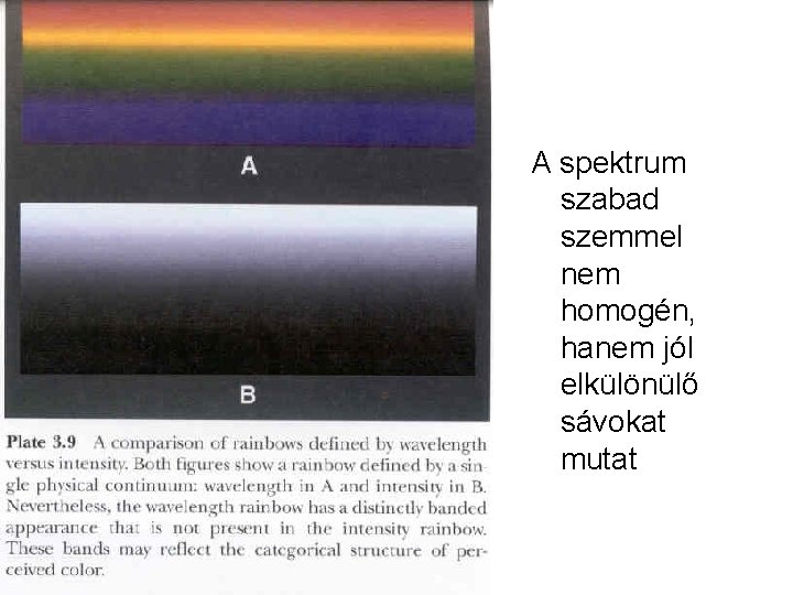 A spektrum szabad szemmel nem homogén, hanem jól elkülönülő sávokat mutat 