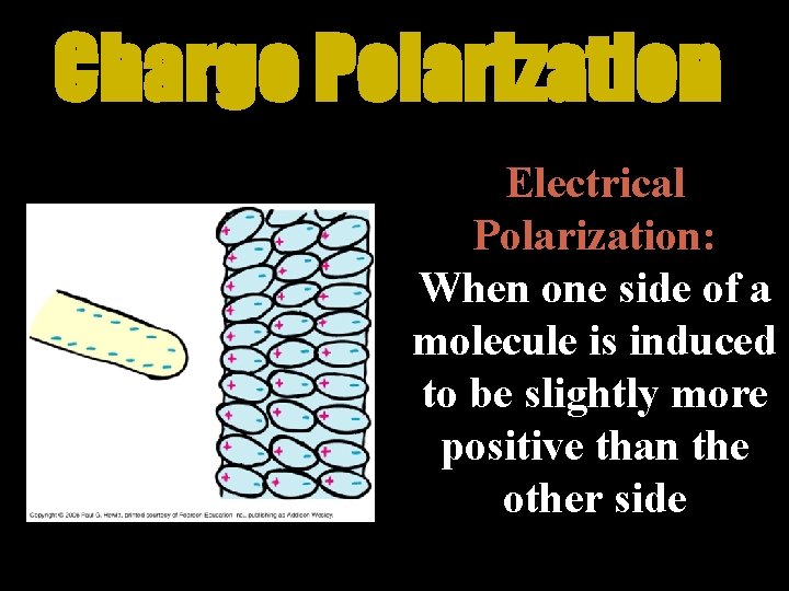 Charge Polarization Electrical Polarization: When one side of a molecule is induced to be