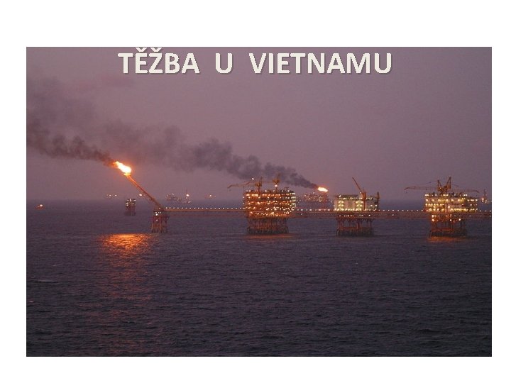 TĚŽBA U VIETNAMU 