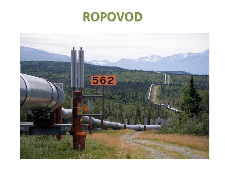 ROPOVOD 