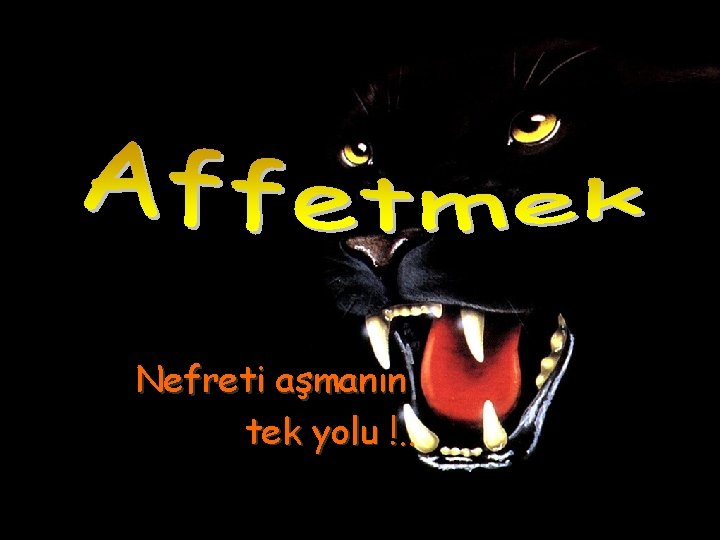 Nefreti aşmanın tek yolu !. . Nekkie’s Products. 