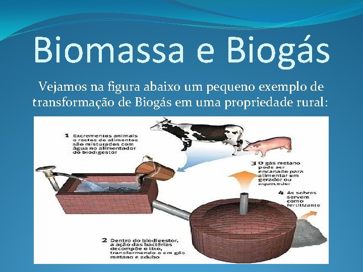 Biomassa e Biogás Vejamos na figura abaixo um pequeno exemplo de transformação de Biogás