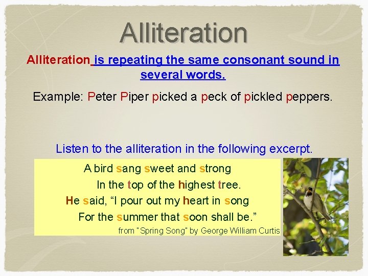 Alliteration is repeating the same consonant sound in several words. Example: Peter Piper picked