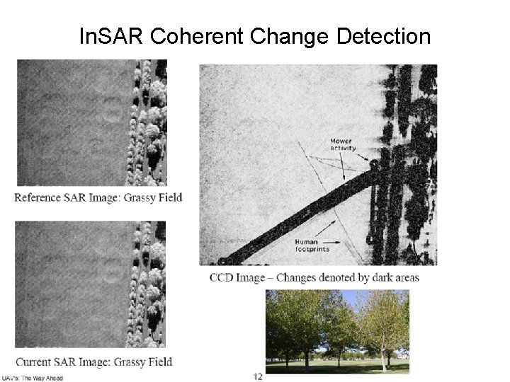 In. SAR Coherent Change Detection 30 