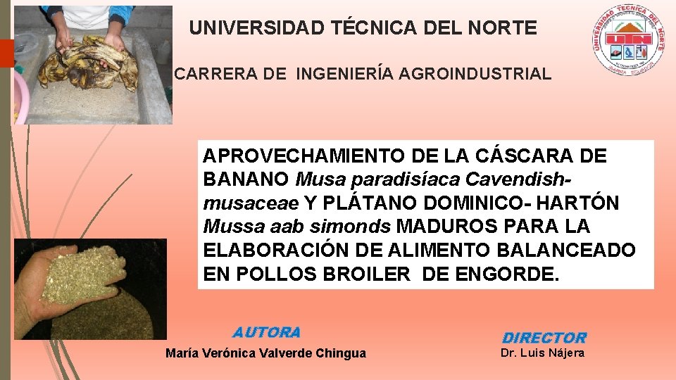 UNIVERSIDAD TÉCNICA DEL NORTE CARRERA DE INGENIERÍA AGROINDUSTRIAL APROVECHAMIENTO DE LA CÁSCARA DE BANANO