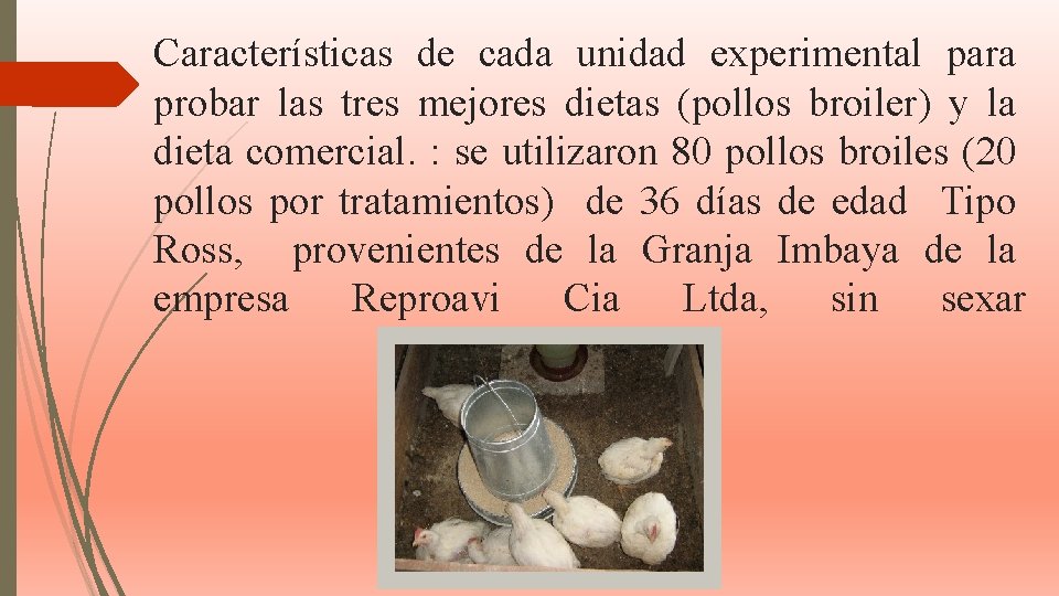 Características de cada unidad experimental para probar las tres mejores dietas (pollos broiler) y Características de cada unidad experimental para probar las tres mejores dietas (pollos broiler) y
