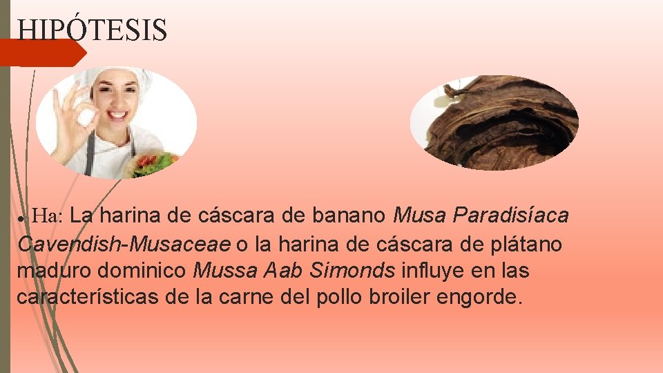 HIPÓTESIS Ha: La harina de cáscara de banano Musa Paradisíaca Cavendish-Musaceae o la harina HIPÓTESIS Ha: La harina de cáscara de banano Musa Paradisíaca Cavendish-Musaceae o la harina