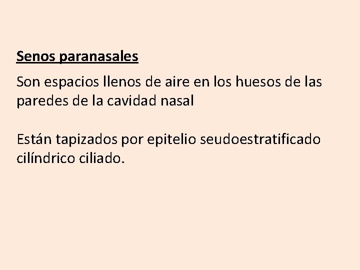 Senos paranasales Son espacios llenos de aire en los huesos de las paredes de