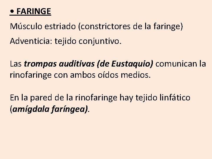  • FARINGE Músculo estriado (constrictores de la faringe) Adventicia: tejido conjuntivo. Las trompas