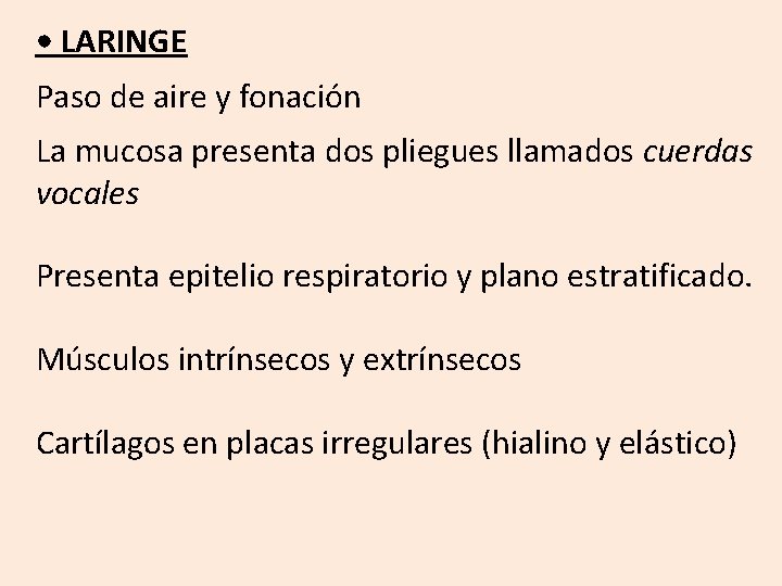  • LARINGE Paso de aire y fonación La mucosa presenta dos pliegues llamados