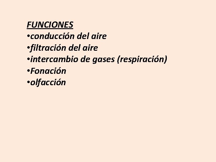 FUNCIONES • conducción del aire • filtración del aire • intercambio de gases (respiración)