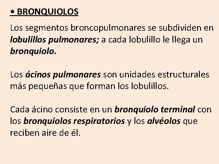  • BRONQUIOLOS Los segmentos broncopulmonares se subdividen en lobulillos pulmonares; a cada lobulillo
