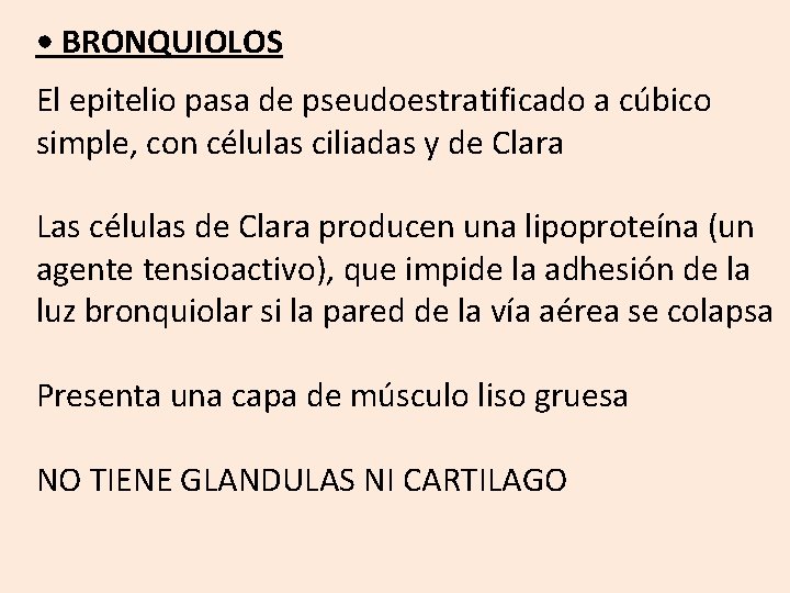  • BRONQUIOLOS El epitelio pasa de pseudoestratificado a cúbico simple, con células ciliadas