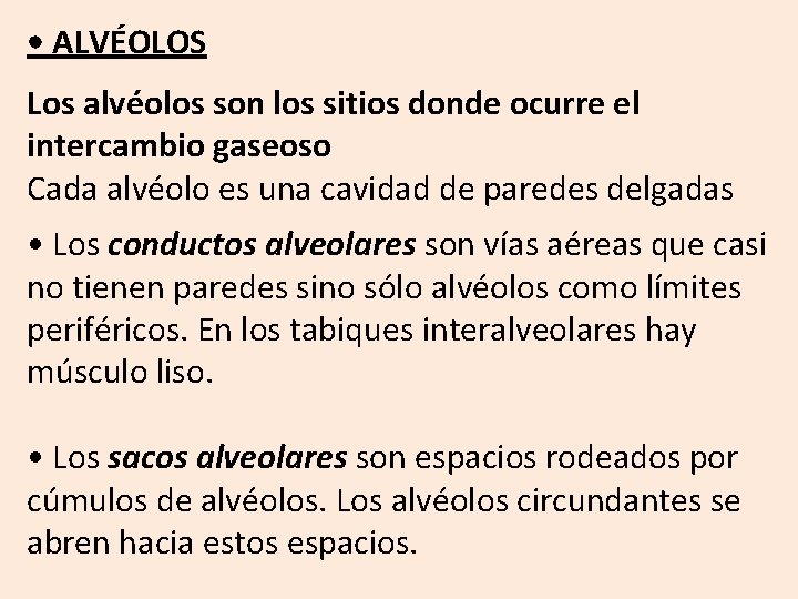  • ALVÉOLOS Los alvéolos son los sitios donde ocurre el intercambio gaseoso Cada