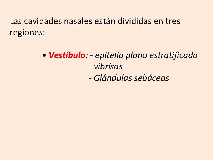 Las cavidades nasales están divididas en tres regiones: • Vestíbulo: - epitelio plano estratificado