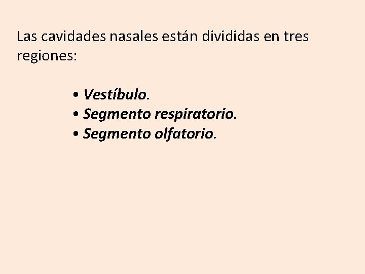 Las cavidades nasales están divididas en tres regiones: • Vestíbulo. • Segmento respiratorio. •