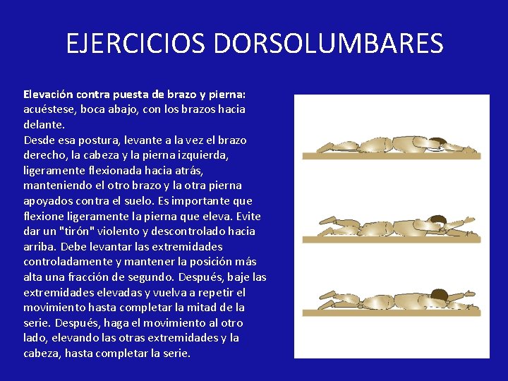 EJERCICIOS DORSOLUMBARES Elevación contra puesta de brazo y pierna: acuéstese, boca abajo, con los EJERCICIOS DORSOLUMBARES Elevación contra puesta de brazo y pierna: acuéstese, boca abajo, con los