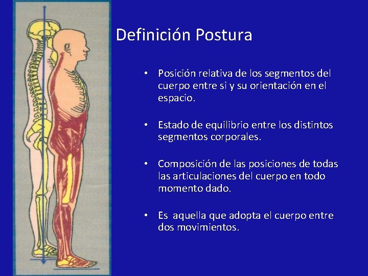 Definición Postura • Posición relativa de los segmentos del cuerpo entre si y su Definición Postura • Posición relativa de los segmentos del cuerpo entre si y su