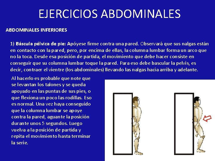 EJERCICIOS ABDOMINALES INFERIORES 1) Báscula pélvica de pie: Apóyese firme contra una pared. Observará EJERCICIOS ABDOMINALES INFERIORES 1) Báscula pélvica de pie: Apóyese firme contra una pared. Observará